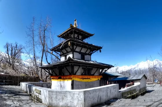 Lower Mustang Mountain Biking Tour