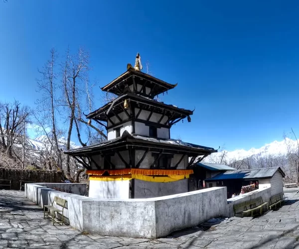 Lower Mustang Mountain Biking Tour