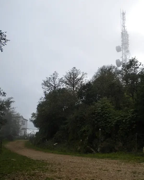 Phulchowki & Bamboo Trail Biking Tour