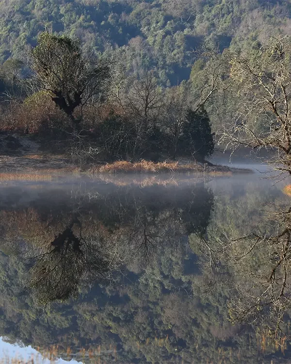 Chisapani Nagarkot Trek