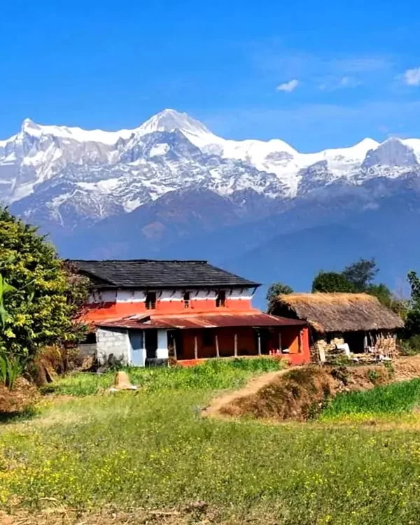 Dhampus-Australian Camp Trek